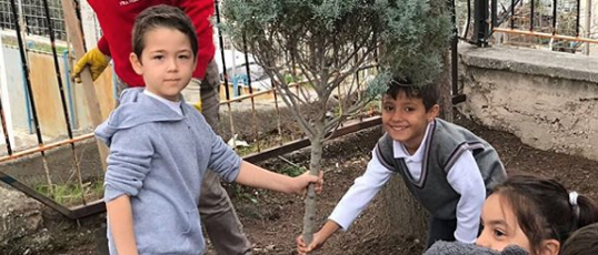 Batı Anadolu İlkokulu Ağaçlandırma Çalışması