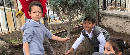 Batı Anadolu Elementary Forestation study